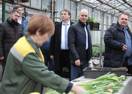 Мэр Йошкар-Олы оценила ульяновские тюльпаны