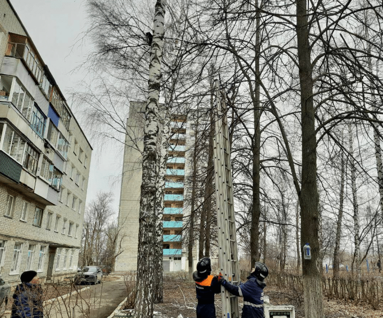 В Ульяновске кот напугался спасателей и слез с дерева сам