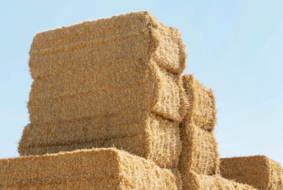 В Ульяновской области валовый сбор зерна составил 2 миллиона тонн