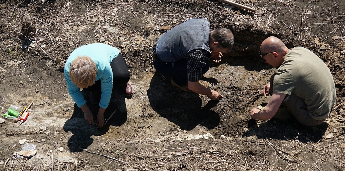 По соседству с Ульяновском тракторист нашел останки гигантского рыбоящера