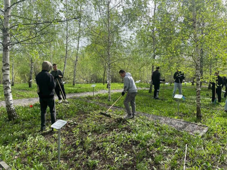 В Ульяновске проведут генеральную уборку городских территорий