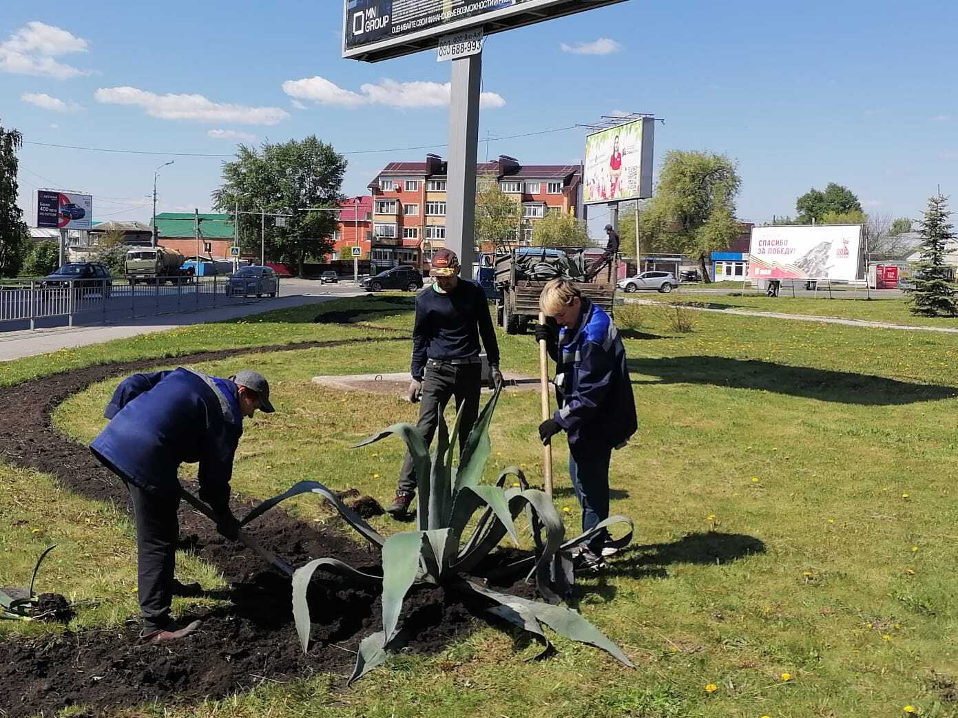 Горзеленхоз высадит агавы в центре Ульяновска