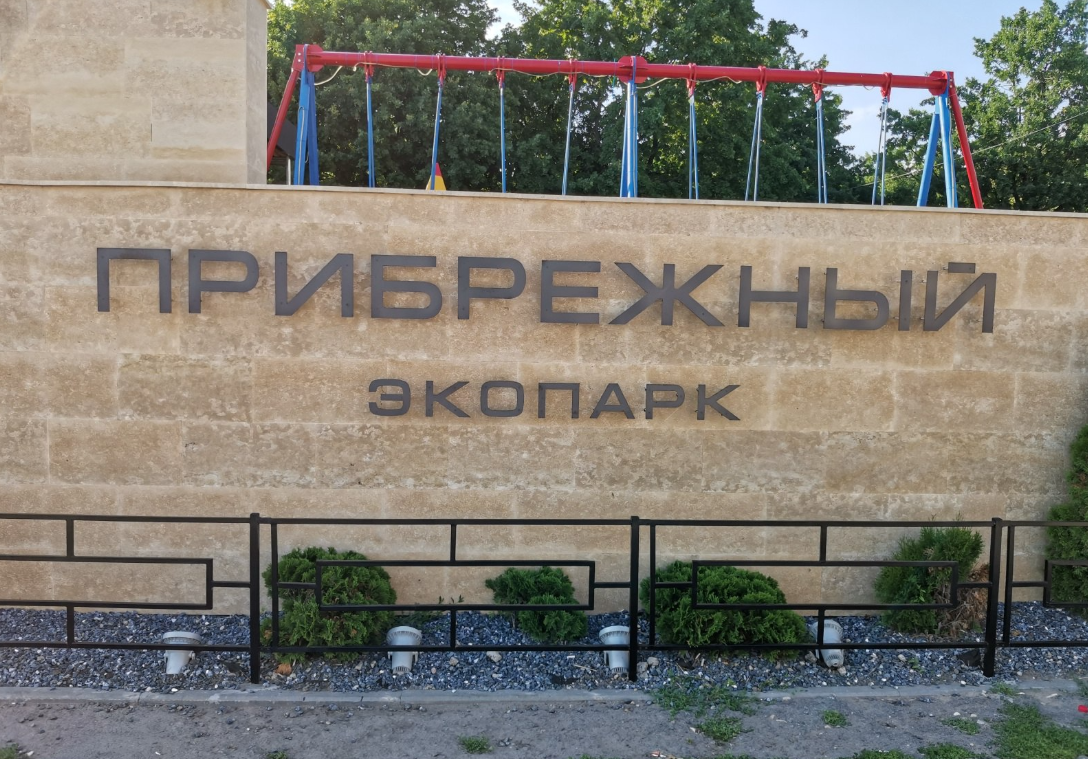 Более 100 деревьев хотят срубить в ульяновском парке «Прибрежный»