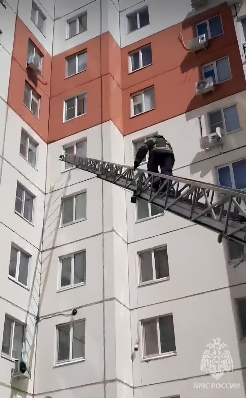 Пожарные провели операцию по спасению ребенка в Ульяновске