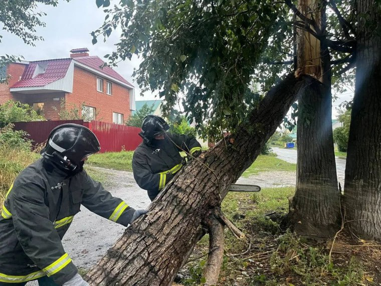 Последствия урагана в Ульяновске: 11 поваленных деревьев
