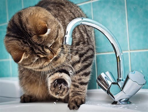 Винновский квартал в Ульяновске остался без холодной воды