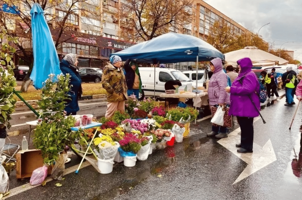 В центре Ульяновска прошла осенняя ярмарка