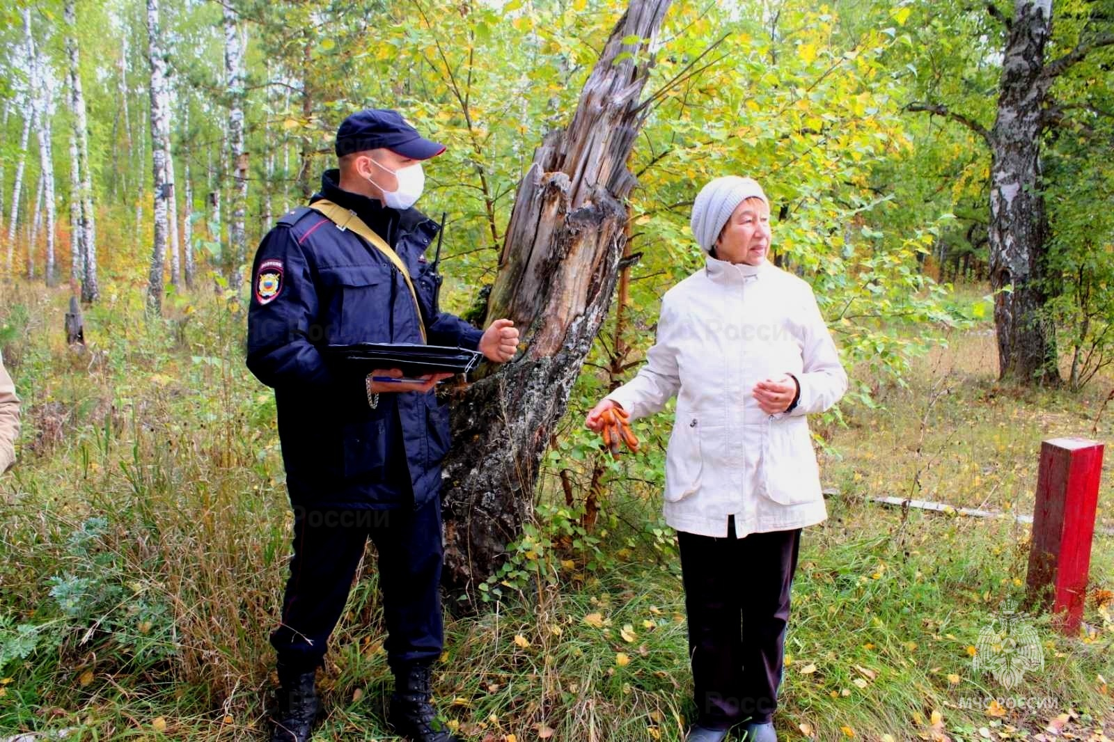 Директора ульяновского лесничества оштрафовали на 20 тысяч за найм экс-чиновника