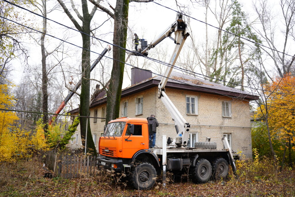 Мэрия Ульяновска спилила аварийный тополь во дворе дома
