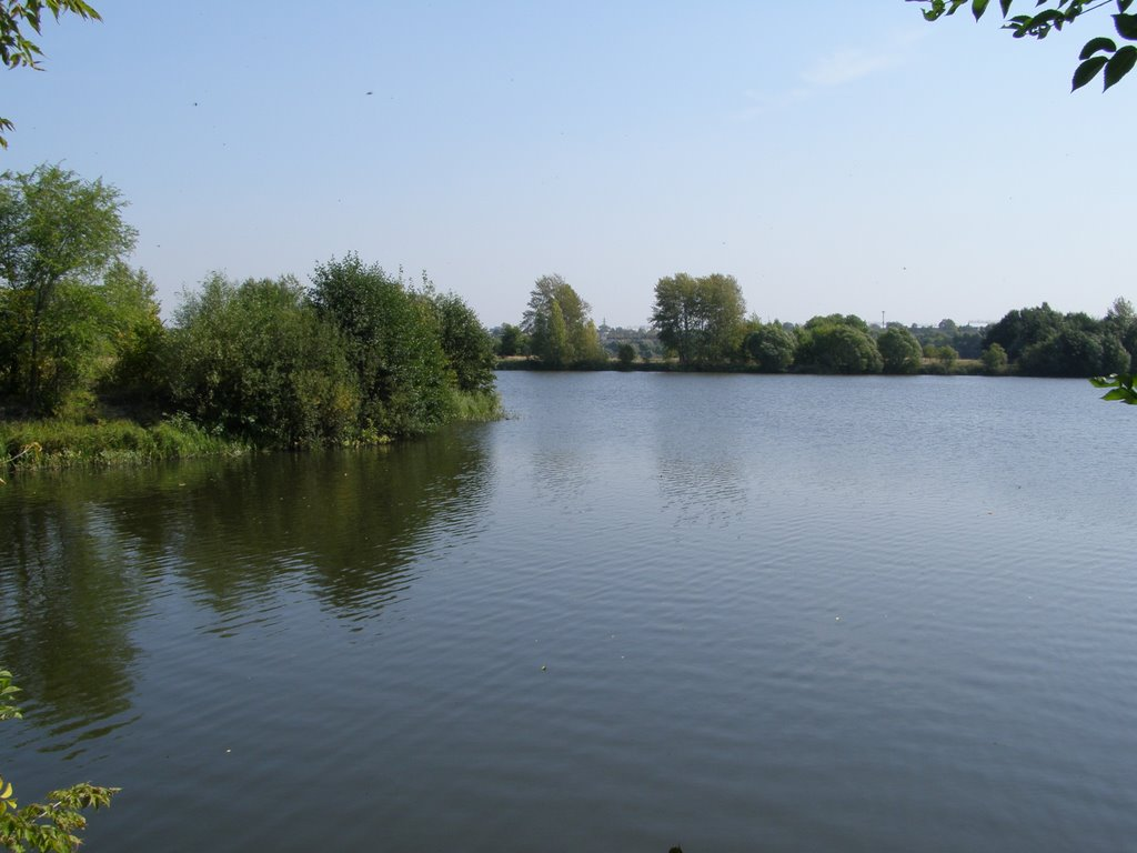 1 млрд рублей запросили ульяновские чиновники на вывоз ила со дна Свияги