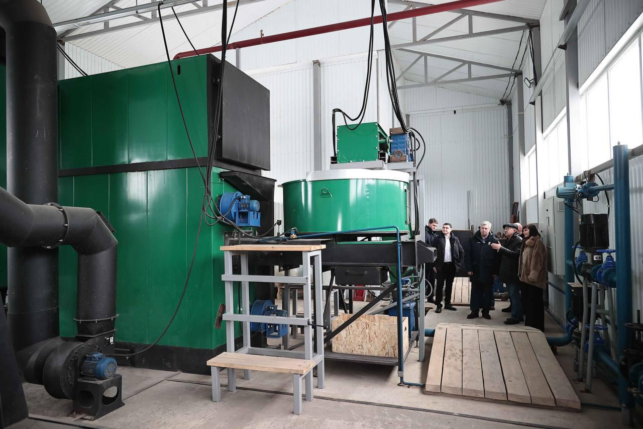 В Ульяновске планируют вырастить 1,8 млн тюльпанов за год