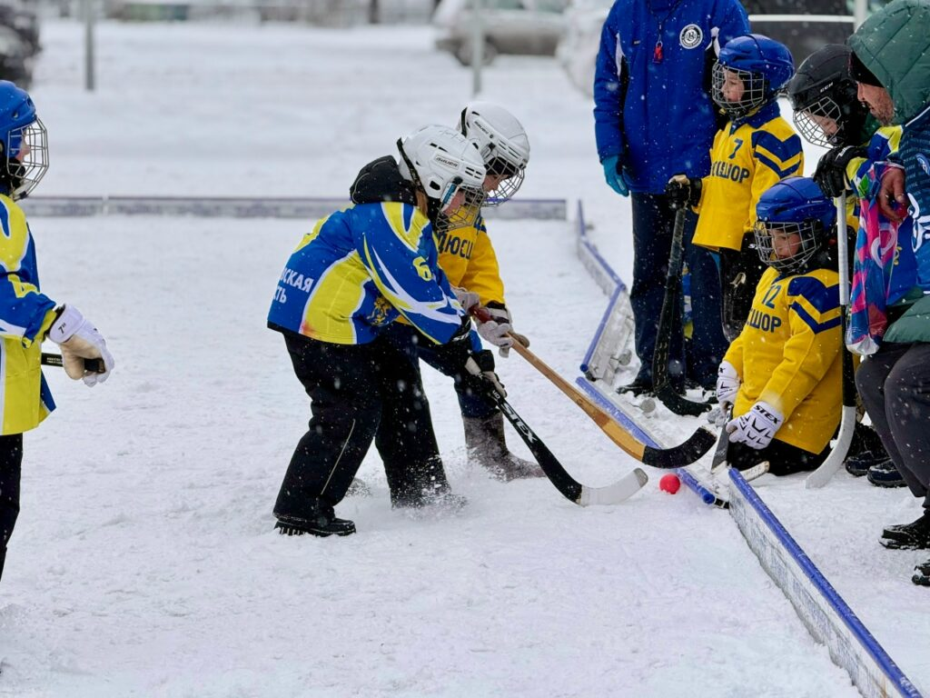 Матч, валенки и кинологи: как Ульяновск отпраздновал годовщину ЧМ по хоккею с мячом