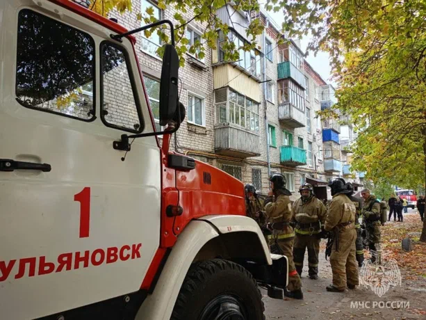 В Ульяновске пожар уничтожил нежилые постройки в переулке Баумана