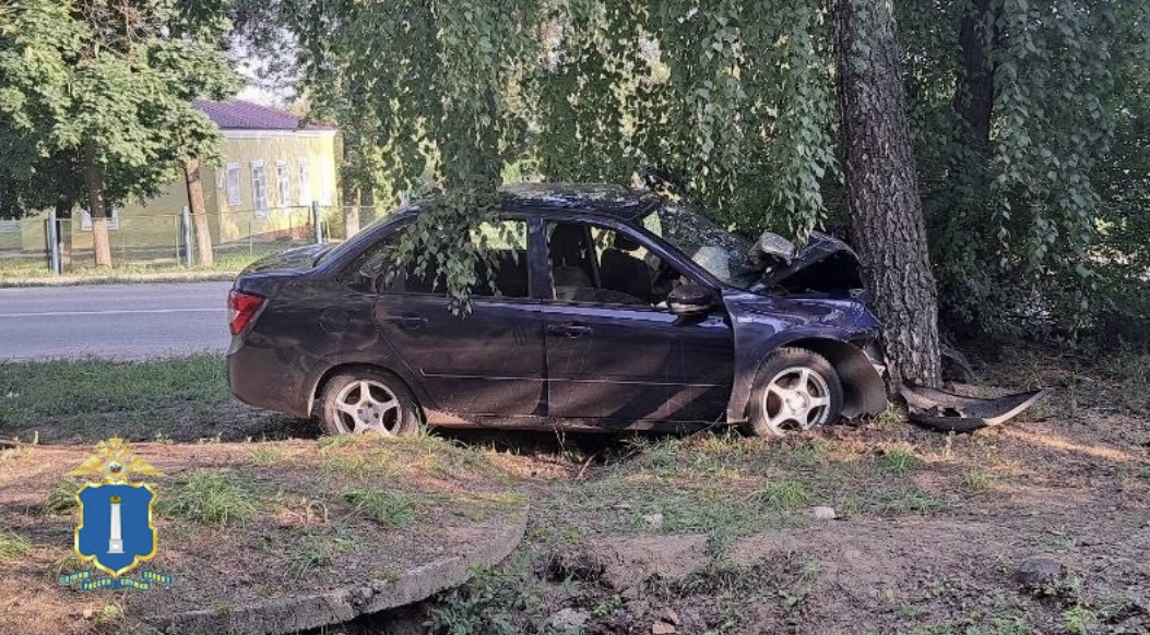 18-летний ульяновец врезался в дерево — двое пострадали